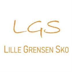 Lille Grensen sko AS