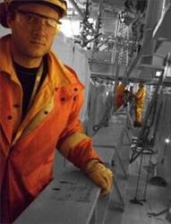 Vittali Industriservice