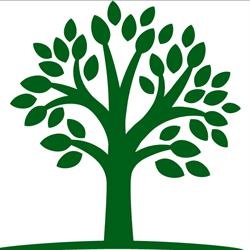 TRYGG ØKONOMI AS