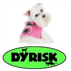 Dyrisk