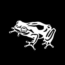 frog - part of Capgemini Invent