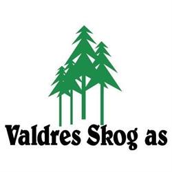 Valdres skog As