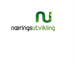 Næringsutvikling AS