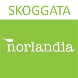Skoggata Bo og servicesenter