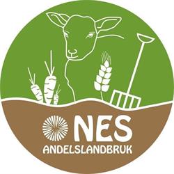 Nes cooperative farm
