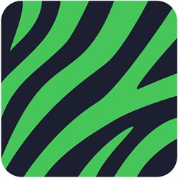 Northern Lights Safari