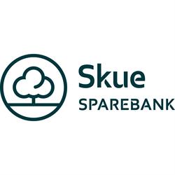 Skue Sparebank, Rauland